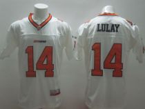 NCAA CFL B.C. Lions #14 Travis Lulay White Jersey