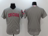 MLB Chicago Cubs Blank Grey Monthers Day Elite Jersey