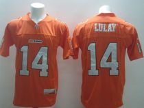 NCAA CFL B.C. Lions #14 Travis Lulay Orange Jersey