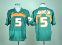 NCAA Nike Miami Hurricanes #5 Andre Johnson Green Jersey