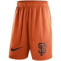 Mens San Francisco Giants Nike Orange Dry Fly Shorts