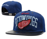 NHL Detroit Red Wings Blue Snapback Hats--YD