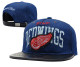 NHL Detroit Red Wings Blue Snapback Hats--YD