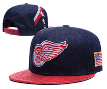 NHL Detroit Red Wings D.Blue Snapback Hats--GS