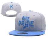 NFL Detroit Lions Grey Snapback Hats--YD