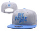 NFL Detroit Lions Grey Snapback Hats--YD