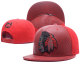 NHL Chicago Blackhawks Red Snapback Hats--GS