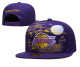 NBA Los Angeles Lakers Fashion Snapback Hats