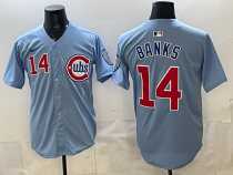 Men's Chicago Cubs #14 Ernie Banks Blue 2024/25 2nd Alternate Limited Stitched Jersey