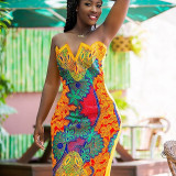 Sexy Strapless Off Shoulder Bodycon Print Dresses NIK-008