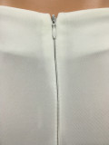 Elegant High Waist Back Zipper Long Pants YS-8180