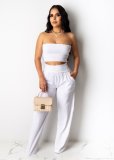 Sexy Tube Top And Pants Two Piece Suits AIL-083