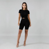 Plus Size Simple Casual Solid Color Two Piece Set TE-3998-2