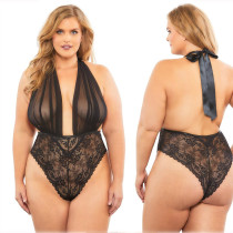 Sexy Halter Backless Mesh See Through Babydoll Underwear YQ-405