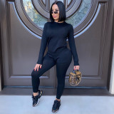 Solid Long Sleeve Casual Two Piece Pants Set IV-8143