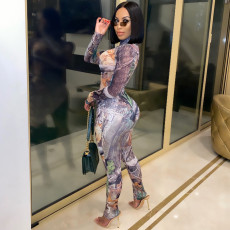Sexy Printed Long Sleeve One Piece Jumpsuits CHY-1299