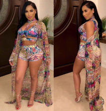 Sexy Printed Bikinis 3 Pieces Swimsuits OD-68233