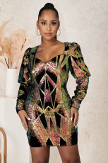 Sexy Sequin Long Sleeve Zipper Nightclub Party Dress LX-6050