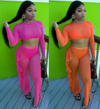 Sexy Ruffled Mesh See Through Two Piece Sets ORY-5183