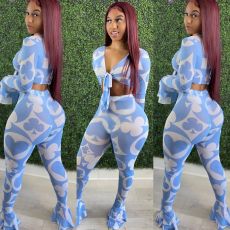 Sexy Printed Mesh Ruffled Two Piece Pants Set YD-8362