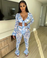 Sexy Printed Mesh Ruffled Two Piece Pants Set YD-8362