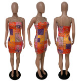 Sexy Printed Spaghetti Strap Slim Mini Dress LSD-9134