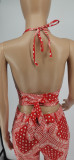 Sexy Printed Strappy Two Piece Pant Sets WSYF-5820