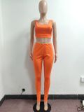 Sexy Solid Backless Sleeveless 2 Piece Pant Sets JPF-1037