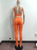 Sexy Solid Backless Sleeveless 2 Piece Pant Sets JPF-1037