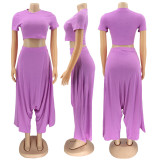 Solid Crop Top And Loose Harem Pants 2 Piece Sets SFY-2112