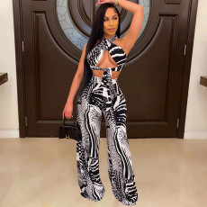 Fashion Printed Top Wide-Leg Pants Two Piece Sets TE-4253