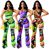 Sexy Printed Tube Top And Pants Two Piece Sets TE-4307