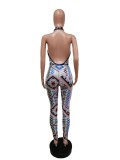 Pre Order: About 7 work days shipping Sexy Printed V Neck Halter Jumpsuit YUEM-66714