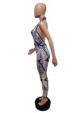 Pre Order: About 7 work days shipping Sexy Printed V Neck Halter Jumpsuit YUEM-66714