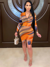 Plus Size Sexy Printed Zipper Long Sleeve Bodycon Dress BYMF-60066