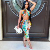 Sexy Printed Halter Crop Top Long Skirt 2 Piece Sets CHY-1317