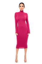 Solid Turtleneck Long Sleeve Thick Slim Midi Dress MZ-2589