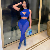 Sexy Mesh Sleeveless Two Piece Pants Set HNIF-HN026
