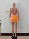 Fashion Sexy Spring And Summer Bikini Halterneck Swimwear Three Piece Set AL-200
