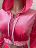 Solid Velvet Hooded Zipper Long Sleeve Flared Pants 2 Piece Sets NIK-264