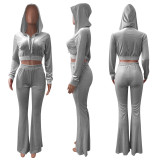 Solid Velvet Hooded Zipper Long Sleeve Flared Pants 2 Piece Sets NIK-264