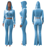 Solid Velvet Hooded Zipper Long Sleeve Flared Pants 2 Piece Sets NIK-264