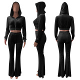 Solid Velvet Hooded Zipper Long Sleeve Flared Pants 2 Piece Sets NIK-264