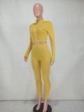 Casual Solid Long Sleeve Zipper Two Piece Pants Set YD-8528
