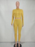 Casual Solid Long Sleeve Zipper Two Piece Pants Set YD-8528