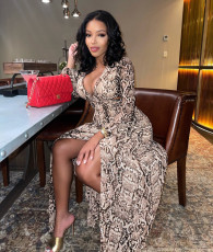 Snake Skin Print High Split Long Sleeve Maxi Dress ZSD-0427