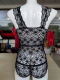 Sexy Lace Deep V One-piece Lingerie YQ-S131