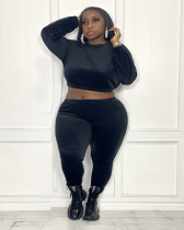 Plus Size Long Sleeve Two Piece Pants Set ZDF-31170
