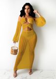 Sexy Cross Halter Mesh Perspective Dress OSM-4347