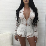 Sexy Lace Long Sleeve Top And Shorts 2 Piece Sets TE-4345